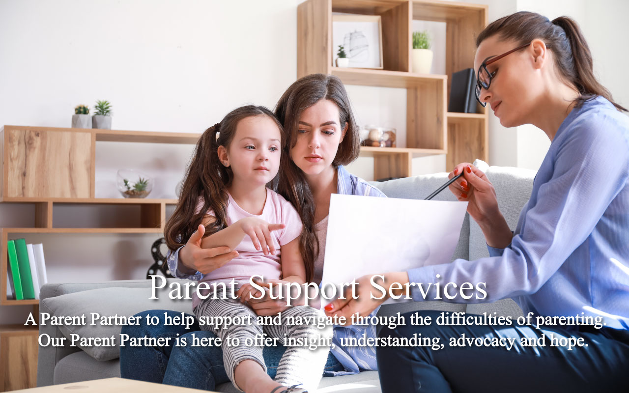A Parent Partner to help support and navigate through the difficulties of parenting. Our Parent Partner is here to offer insight, understanding, advocacy and hope.